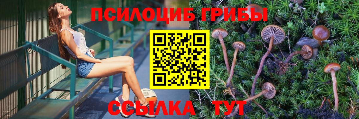 Советский  Псилоцибиновые грибы Cubensis  Вход с VPN 